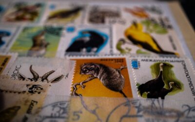 Sello ecológico en Málaga: La clave para destacar en sostenibilidad empresarial