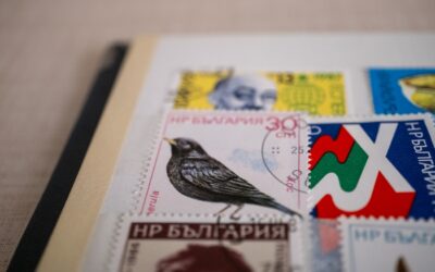 Cómo obtener sellos ecológicos para fortalecer la imagen de tu empresa en Málaga