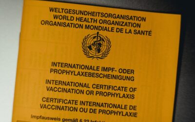 Cómo destacar en el mercado internacional: las mejores certificaciones ISO para empresas de exportación en Málaga