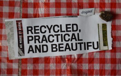 ¿Cómo elegir el sello ecológico adecuado para exportar desde Málaga? Una guía comparativa